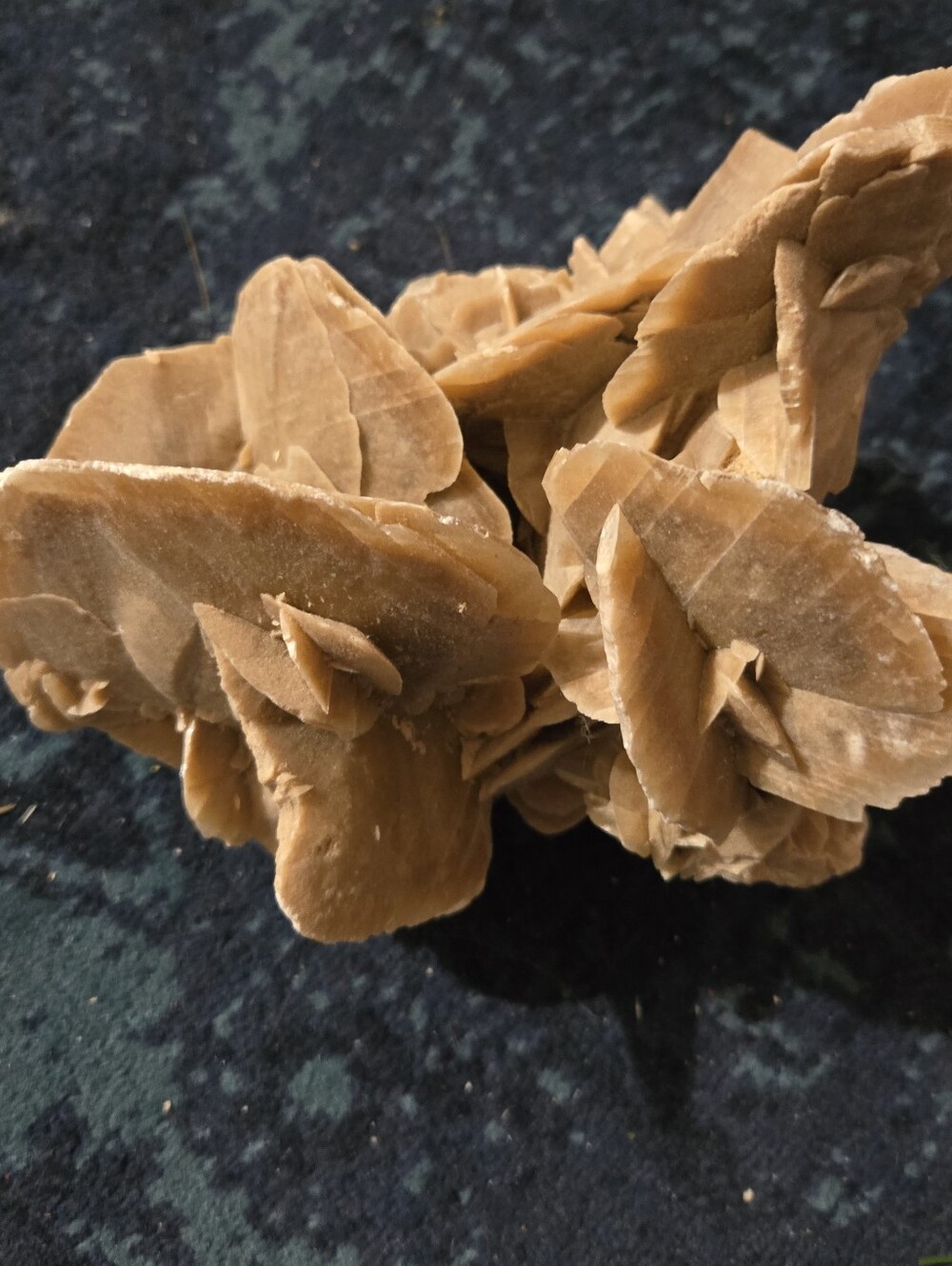 Natural Desert Rose Selenite Crystal Cluster - Tan